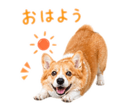 856210855