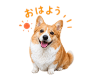 856210856