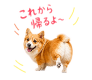 856210860