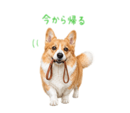 856210862