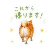 856210863