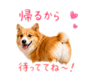 856210864
