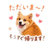 856210868