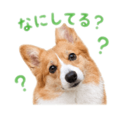 856210870