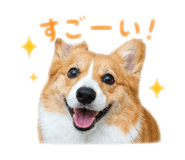 856210874