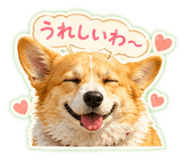 856211282
