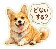 856211304