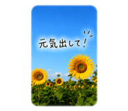 856211783