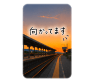 856211791