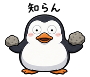 856212706