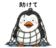 856212720