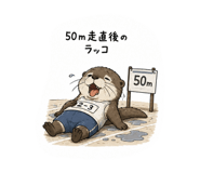 856213277