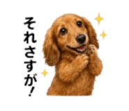 856213357