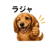 856213358