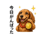 856213369
