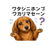 856213373