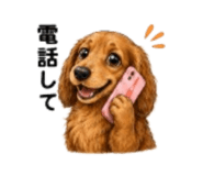 856213375