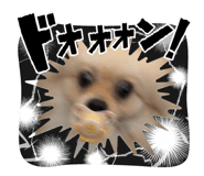 856214394