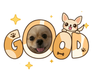 856214396