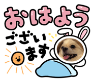 856214400