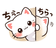 856215714