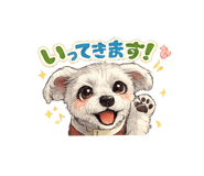 856216546