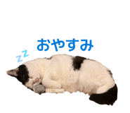 856217002