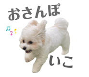 856217526