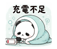 856217606