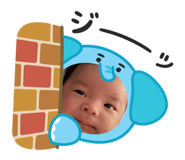 856217684