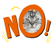 856217768