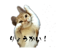 856220060