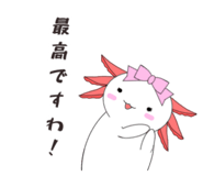 856220126