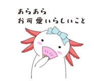856220131