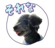 856220542