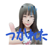 856220637