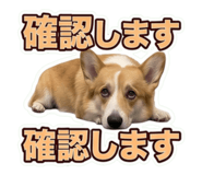 856222655