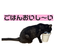 856223165