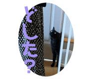 856223171