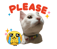 856223553