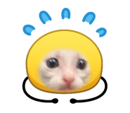 856223555