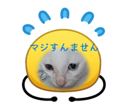 856223559