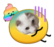 856223565