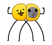 856223567