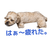 856223625