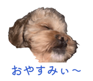 856223634