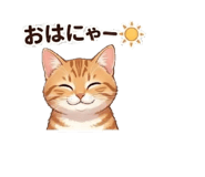 856223655