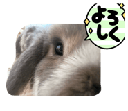 856224364