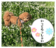 856224953