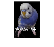 856224993